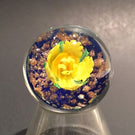 Handmade Al Janelle Art Glass Marble Lampworked Yellow Flower Marble
