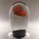 Rare Richard Satava Art Glass Paperweight Two Species Double Jellyfish Sculpture