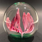 Vintage Elwood Indiana American Studio Art Glass Paperweight Crimp Pink Tulip