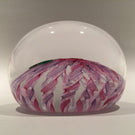Signed Peter Holmes Selkirk Art Glass Paperweight Floral Pink Latticino