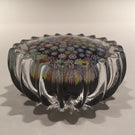 Peter Mcdougall Scalloped Art Glass Paperweight Close Packed Millefiori