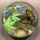Signed Orient & Flume Scott Beyers Art Glass Paperweight Swallowtail Butterfly