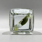 Signed Paul Stankard Art Glass Paperweight Block Lampworked Water Lilly