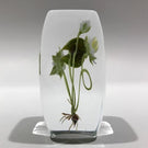 Signed Paul Stankard Art Glass Paperweight Block Lampworked Water Lilly