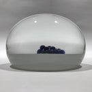 Vintage Baccarat Art Glass Paperweight Lampworked Grapes LE Circa 1975