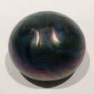 Signed David Lotton Art Glass Paperweight Dark Iridescent Surface Decoration