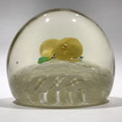 Vintage Murano Art Glass Paperweight Lampworked Pears on Parallel Latticino