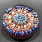 Vintage Perthshire 11 Spoke Art Glass Paperweight Millefiroir & Twists