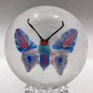 Antique Unknown Maker Art Glass Paperweight Millefiori Butterfly Belgium?