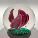 Vintage American Elwood Indiana Art Glass Paperweight Crimp Style Pink Tulip