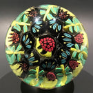Rare Murano Art Glass Paperweight Figural Millefiori Leaf & Berry Canes