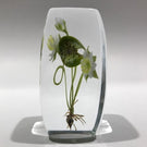Signed Paul Stankard Art Glass Paperweight Block Lampworked Water Lilly