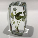 Signed Paul Stankard Art Glass Paperweight Block Lampworked Water Lilly