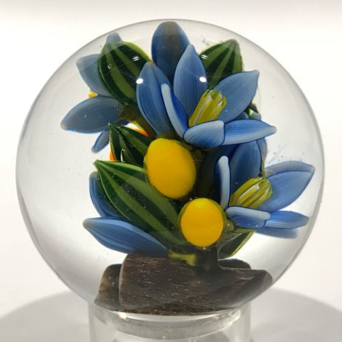Colin Richardson Art Glass Paperweight Orb Floral Lampworked 2 Sided Marble