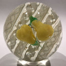 Vintage Murano Art Glass Paperweight Lampworked Pears on Parallel Latticino