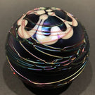 Terry Crider Art Glass Paperweight Iridescent Surface Decorated Threading