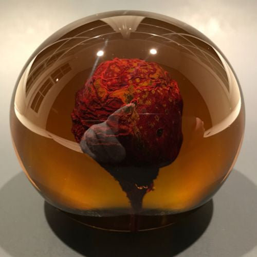 Unusual Signed Charles Lotton Art Glass Paperweight Amber Encased Modern Design