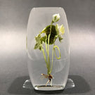 Signed Paul Stankard Art Glass Paperweight Block Lampworked Water Lilly