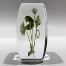 Signed Paul Stankard Art Glass Paperweight Block Lampworked Water Lilly