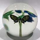 Signed Orient & Flume Scott Beyers Art Glass Paperweight Swallowtail Butterfly