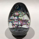 Vintage Peter Holmes Caithness Art Glass Paperweight  “Cascade Rainbow”