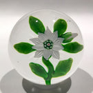 Antique Baccarat Art Glass Paperweight Lampworked White Double Clematis
