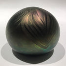 Signed David Lotton Art Glass Paperweight Dark Iridescent Pulled Feather Design