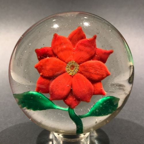 Early Chinese Art Glass Paperweight Large Lampworked Poinsettia Flower