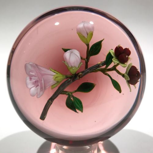 Signed Paul Stankard Art Glass Paperweight Lampworked Tea Rose on Blush