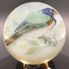 Huge Vintage Murano Art Glass Paperweight Detailed Encased Image of a Blue Bird