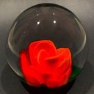 Rare Murano Art Glass Paperweight Large Orange Crimp Rose