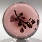 Signed Paul Stankard Art Glass Paperweight Lampworked Tea Rose on Blush