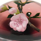 Signed Paul Stankard Art Glass Paperweight Lampworked Tea Rose on Blush