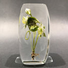 Signed Paul Stankard Art Glass Paperweight Block Lampworked Water Lilly