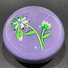 Vintage Perthshire Lampworked Flower Art Glass Paperweight LE 1974B