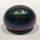 Signed David Lotton Art Glass Paperweight Dark Iridescent Surface Decoration