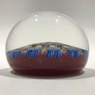 Vintage Perthshire 11 Spoke Art Glass Paperweight Millefiroir & Twists