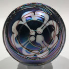Terry Crider Art Glass Paperweight Iridescent Surface Decorated Threading