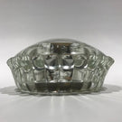 Early American Articulated Turtle Art Glass Paperweight Wisconsin Dells Souvenir
