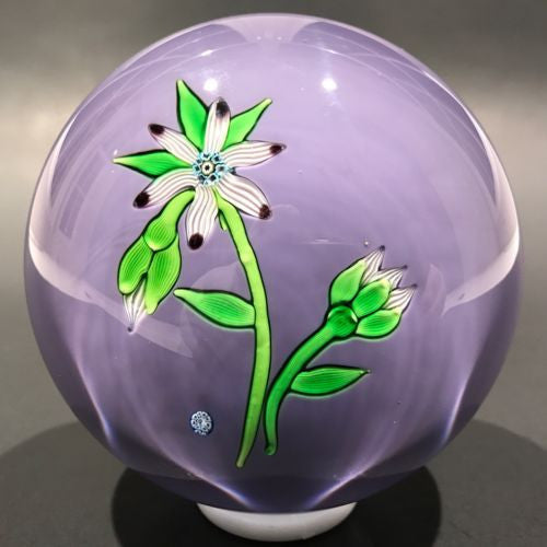 Vintage Perthshire Lampworked Flower Art Glass Paperweight LE 1974B