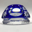 Cristal D Albert Fancy Cut Art Glass Paperweight Albert Schweitzer Sulphide