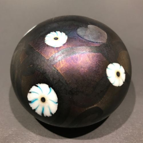 Signed David Lotton Art Glass Paperweight Dark Iridescent w/ Millefiori