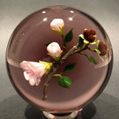 Signed Paul Stankard Art Glass Paperweight Lampworked Tea Rose on Blush