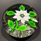 Antique Baccarat Art Glass Paperweight Lampworked White Double Clematis