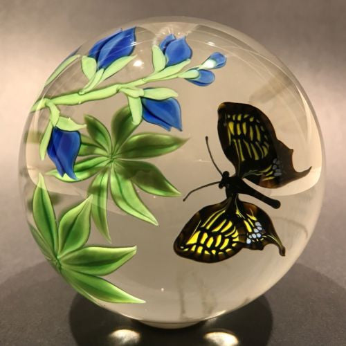 Signed Orient & Flume Scott Beyers Art Glass Paperweight Swallowtail Butterfly