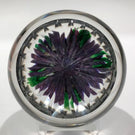 Rare Antique Saint Louis Art Glass Paperweight Lampworked Purple Dahlia