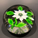 Antique Baccarat Art Glass Paperweight Lampworked White Double Clematis