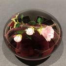 Signed Paul Stankard Art Glass Paperweight Lampworked Tea Rose on Blush
