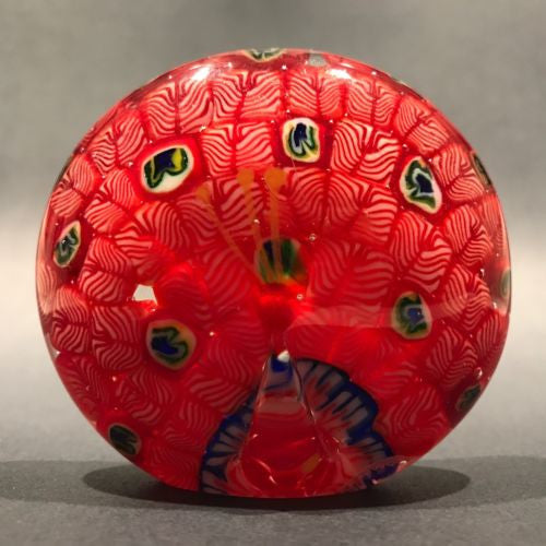 Vintage Chinese Art Glass Paperweight Peacock Complex Millefiori Feathers