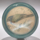 Huge Vintage Murano Art Glass Paperweight Detailed Encased Image of a Blue Bird